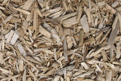 biomass boilers Calloose
